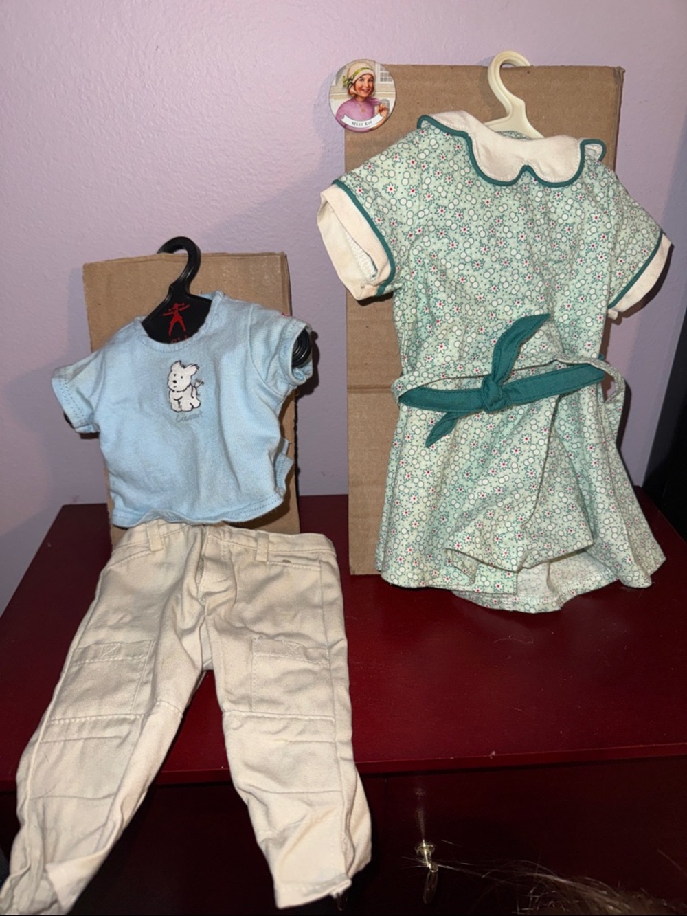 American Girl Doll Original Kit + extra Outfits and pets Coconut and Licorice - Picture 4 of 4